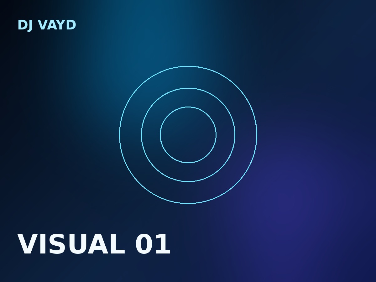 DJ VAYD visual 1