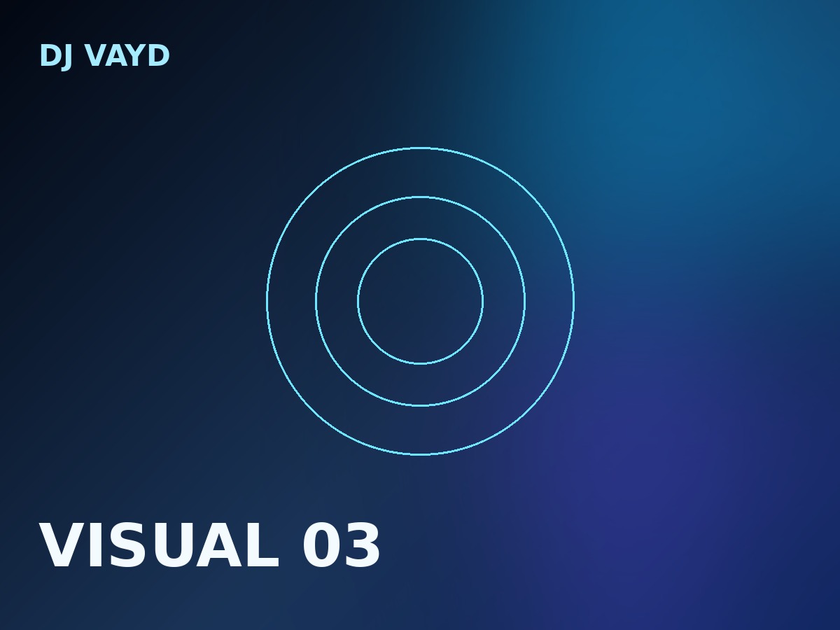 DJ VAYD visual 3